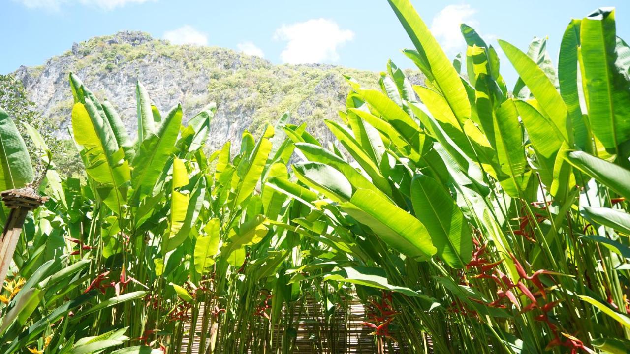 Focus Rooms El Nido Exterior photo